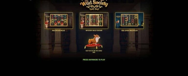 Wild Society