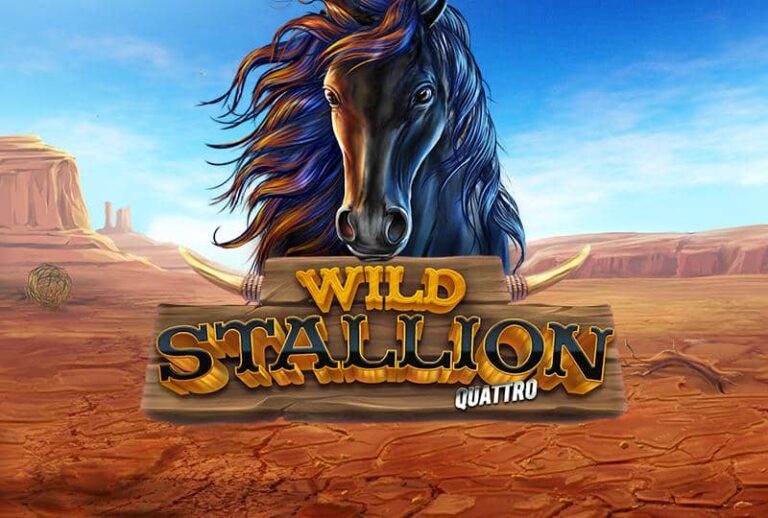 Wild Stallion