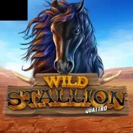 Wild Stallion