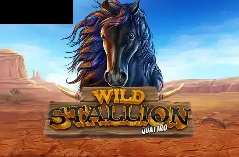 Wild Stallion