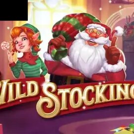 Wild Stocking