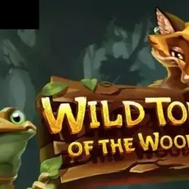 Wild Tome of the Woods