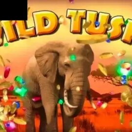 Wild Tusks