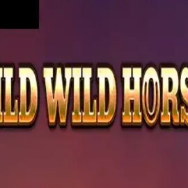 Wild Wild Horses