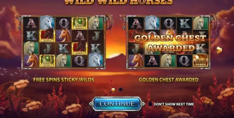 Wild Wild Horses