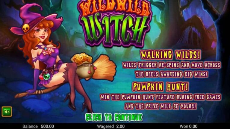 Wild Wild Witch