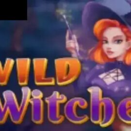 Wild Witches (Amatic Industries)