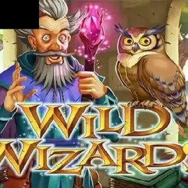 Wild Wizards (RTG)