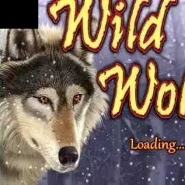 Wild Wolf (IGT)