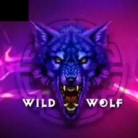 Wild Wolf (betiXon)