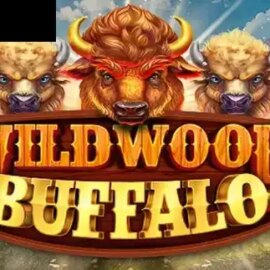 Wild Wood Buffalo