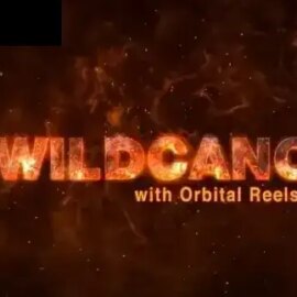 Wildcano