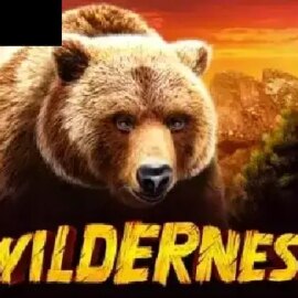 Wilderness