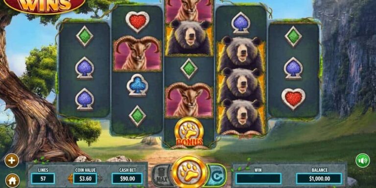 Wilderness Wins