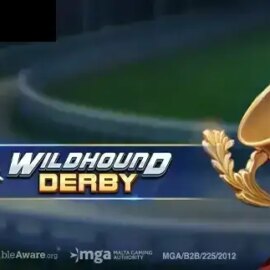 Wildhound Derby