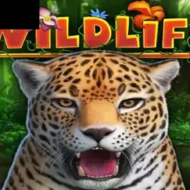 Wildlife