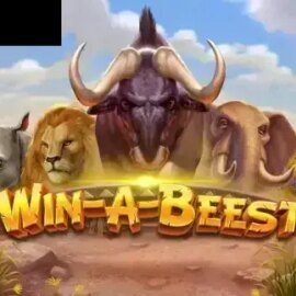 Win A Beest