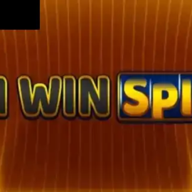 Win Spin 81