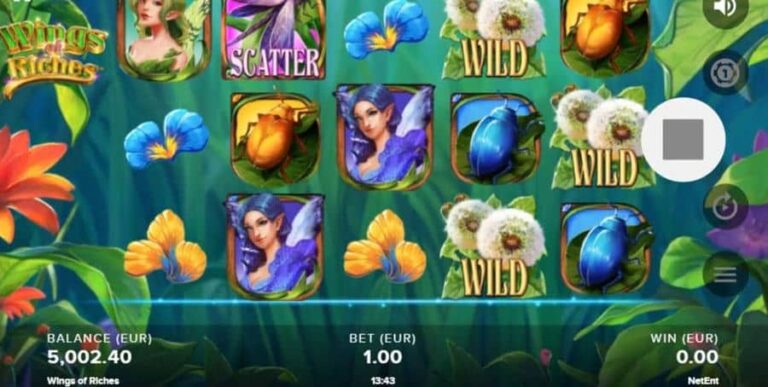 Wings of Riches
