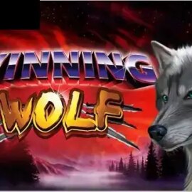 Winning Wolf