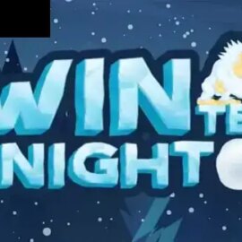 Winter Night