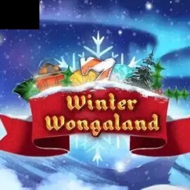 Winter Wongaland