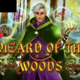 Wizard of the Woods