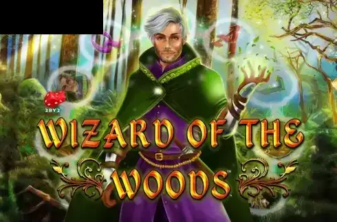 Wizard of the Woods