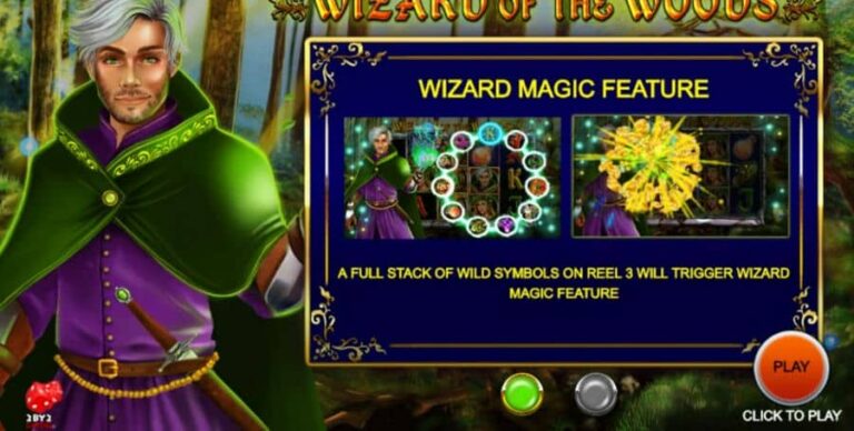 Wizard of the Woods