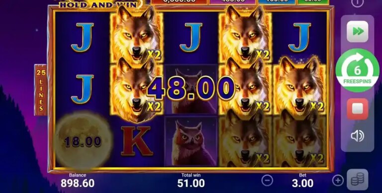 Wolf Night
