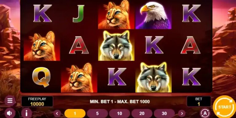 Wolf Spins 243