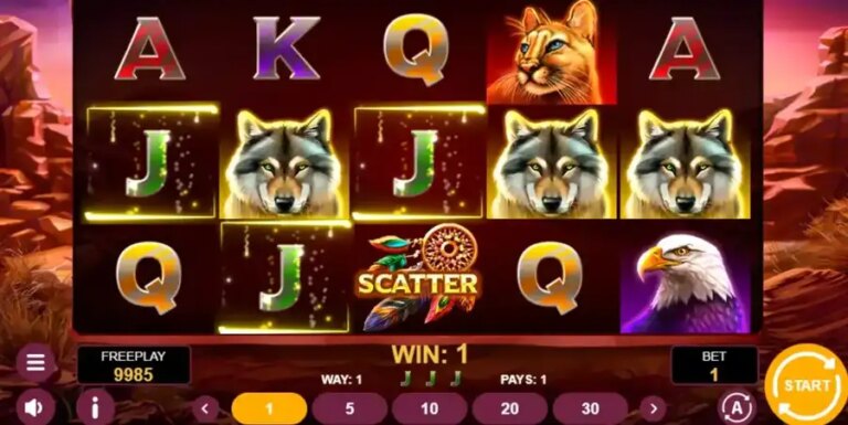 Wolf Spins 243
