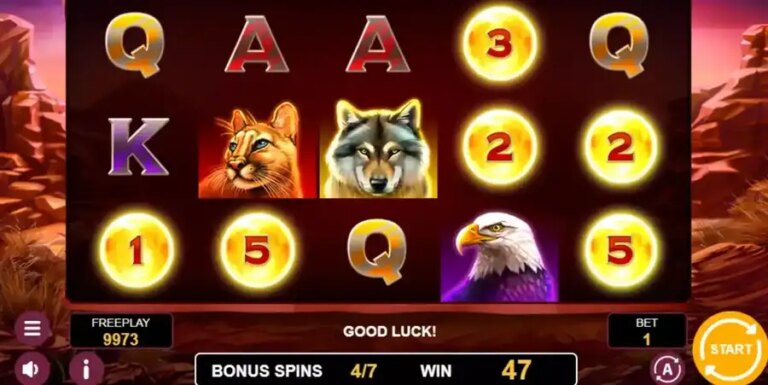 Wolf Spins 243