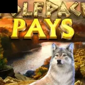 Wolfpack Pays