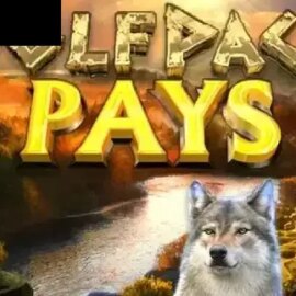 Wolfpack Pays Dice