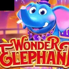 Wonder Elephant