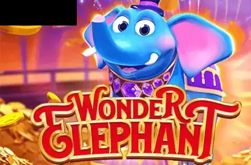 Wonder Elephant
