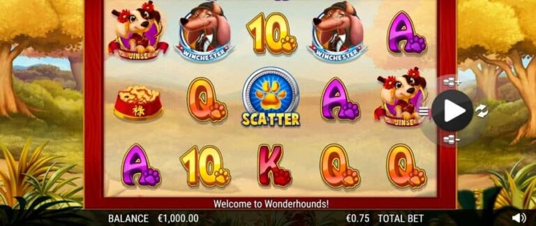 Wonder Hounds