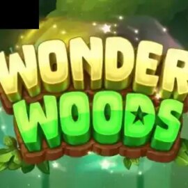 Wonder Woods