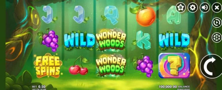 Wonder Woods