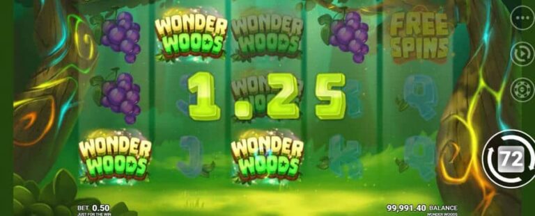 Wonder Woods