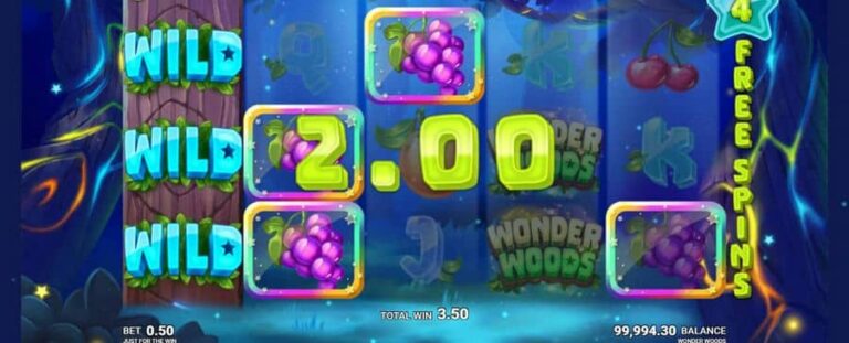 Wonder Woods