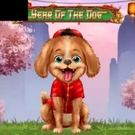Year of the Dog (D-Tech)