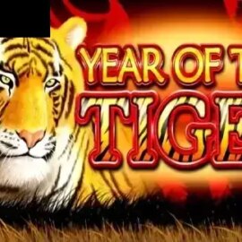 Year of the Tiger (Ainsworth)