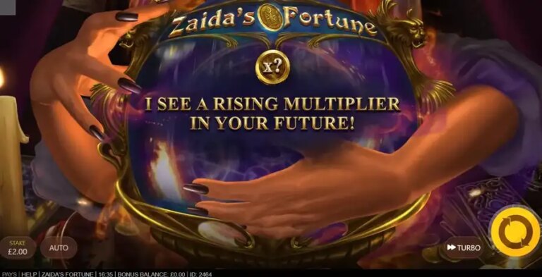 Zaida’s Fortune