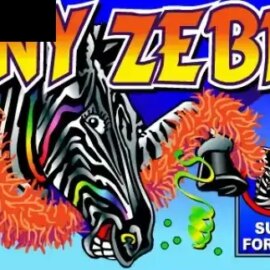 Zany Zebra