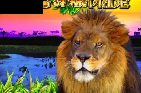King of the Pride