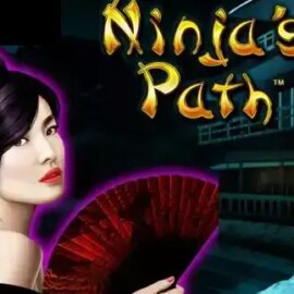 Ninja´s Path