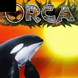 Orca
