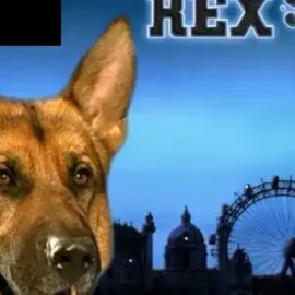 Rex